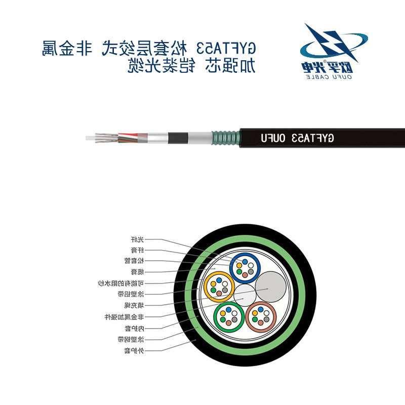 咸阳市GYFTA53光缆