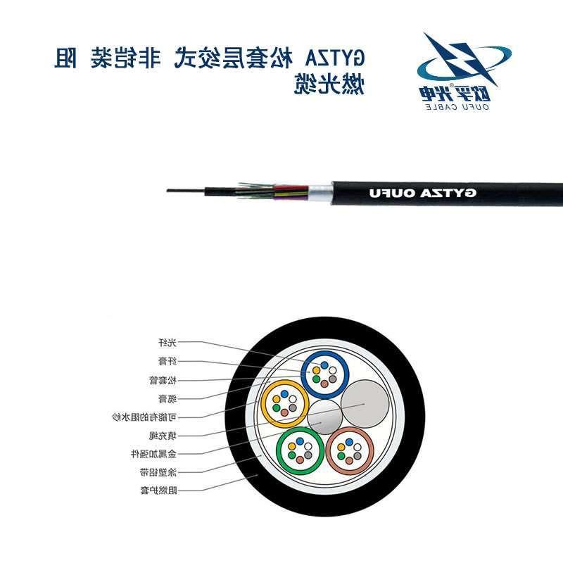 欧孚GYTZA光缆 12芯光缆GYTZA gytza是什么光缆