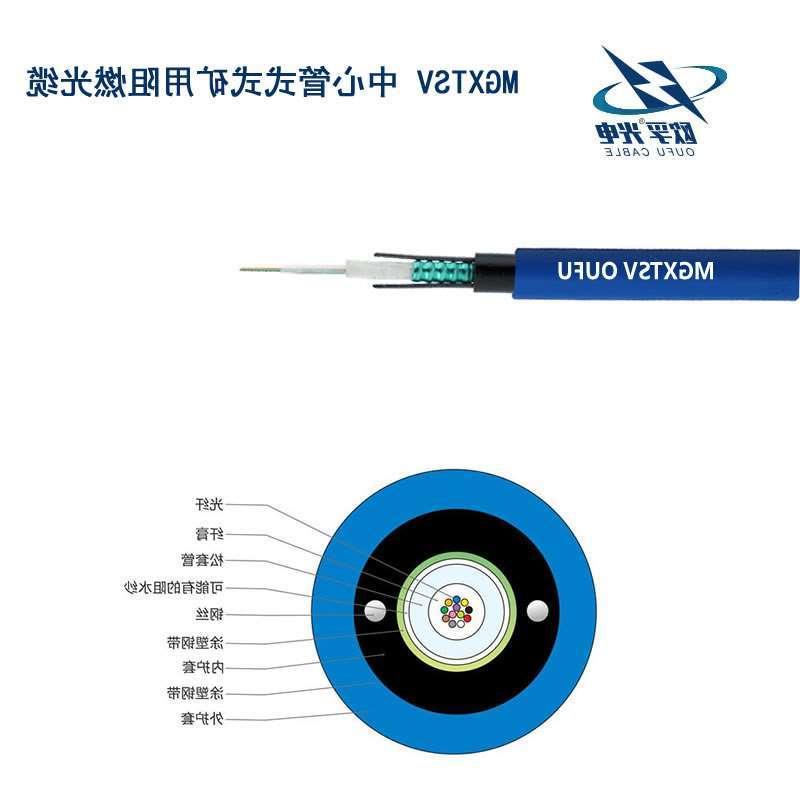 丰台区MGXTSV光缆