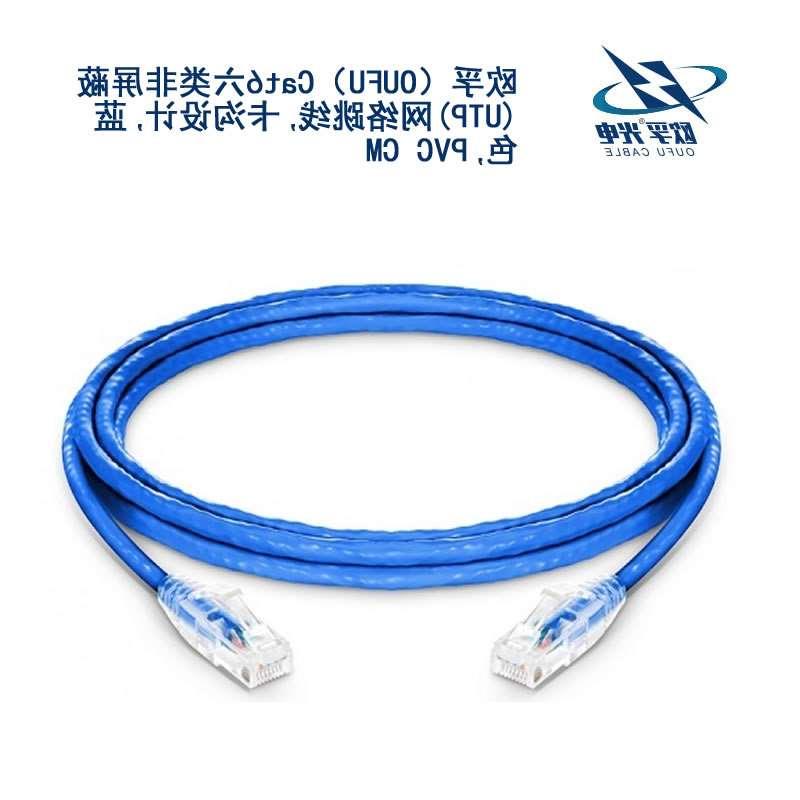 咸阳市​Cat6六类非屏蔽(UTP)网络跳线