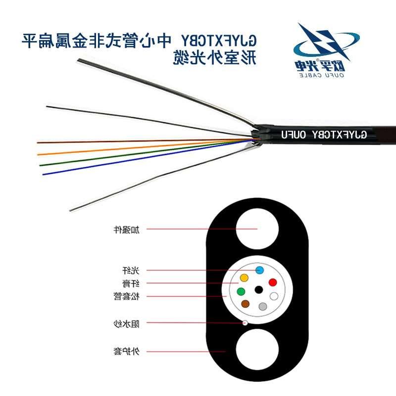 丰台区GJYFXTCBY扁平光缆