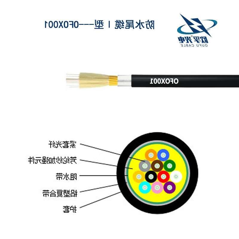 咸阳市防水尾缆Ⅰ型